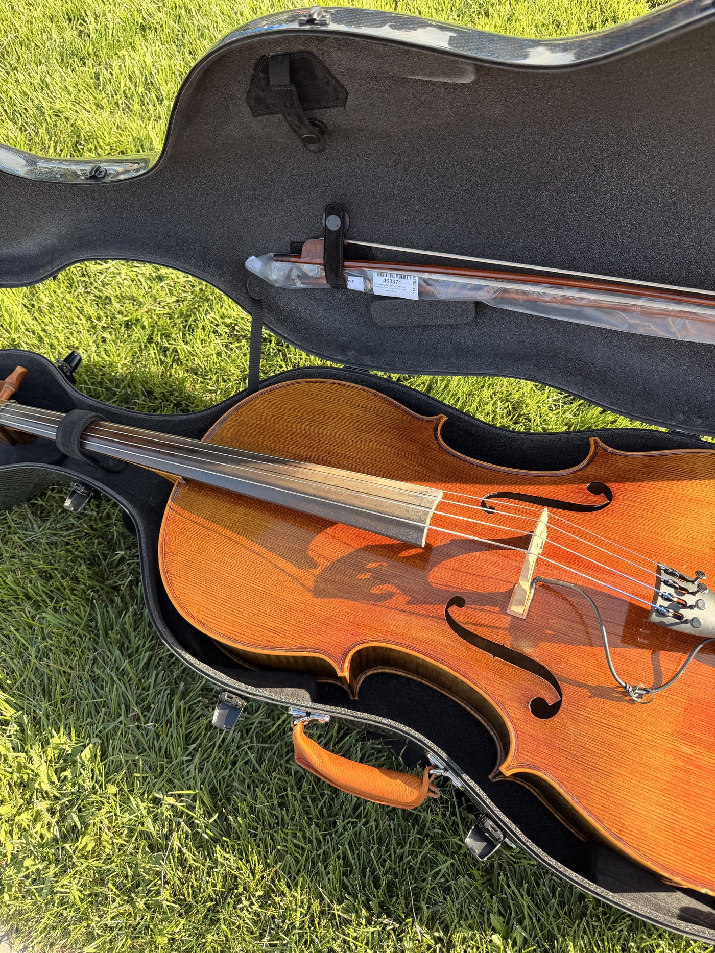 Yaroslav's own cello lying in its open case on grass, the bow beside it